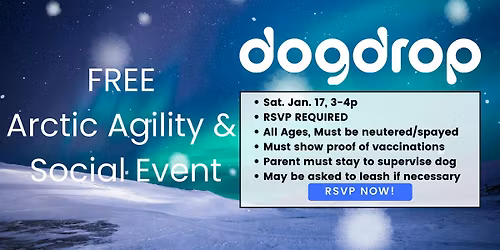Arctic Agility & Social Event at Dogdrop - Hollywood