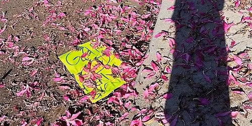 Poetry Potluck & Feedback