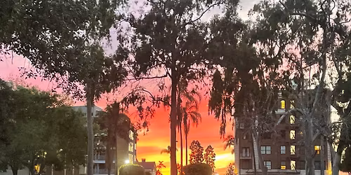 Parking Blood Orange