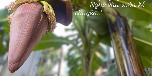 Sacred Garden Thursday Movie Night