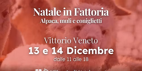 Natale in Fattoria