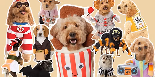 Howl-o-ween Pup-Walkathon