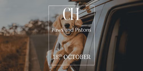 Paws and Pistons