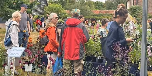 Rare Plant Fair - Manor House Gardens, Bledlow, Buckinghamshire