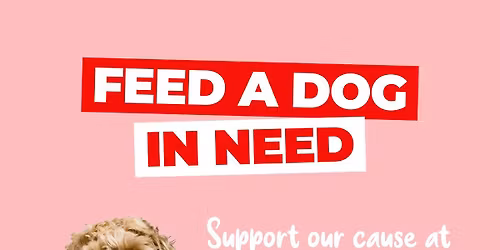 Coffee & Cake at Cromwell