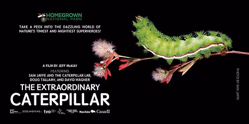 Film Showing: The Extraordinary Caterpillar