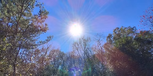 Radiance: Moving Forward with Positive Intention