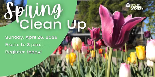 Spring Clean Up