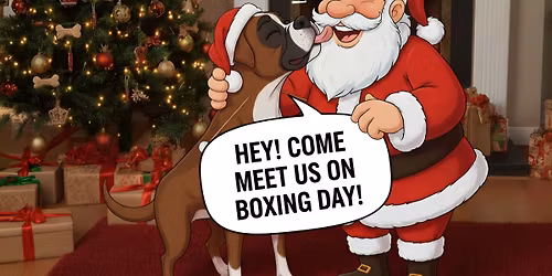 BOXING DAY MEET