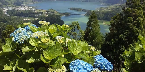 Soulful Rejuvenation Wellness Retreat