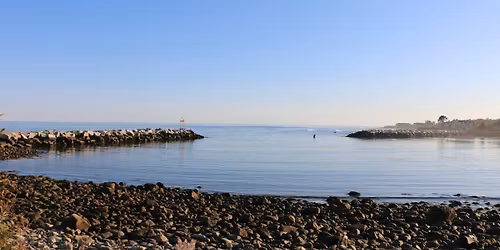 Science on Tap: Gulf of Maine Checkup