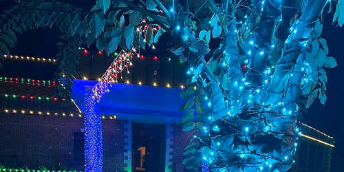 2025 Christmas Light Show