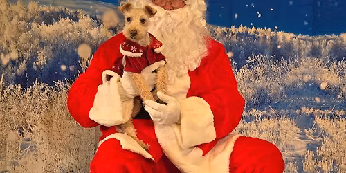 Pet Photos with Santa!
