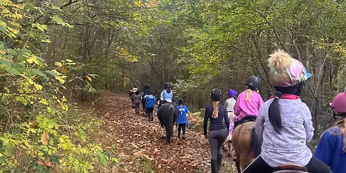 New Years Woodland Ride with Yard Scavenger Hunt