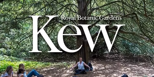 Forest Bathing at The Royal Botanic Gardens, Kew