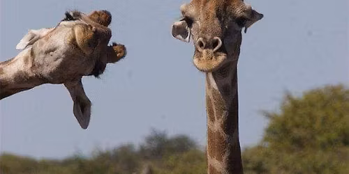 Security BSides Delaware 2025