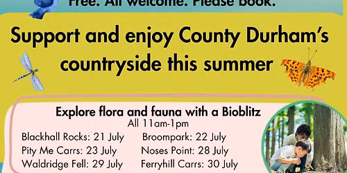 Waldridge Fell Country Park Bioblitz