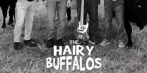 Hairy Buffalos at THE HARRY BUFFALO!