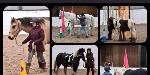 Fun horse agility session