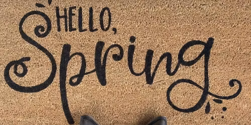 DoorStep Designs with Holly