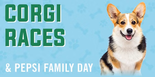Corgi Races