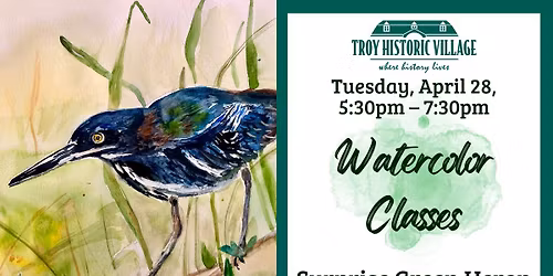 Watercolor Class: Surprise Green Heron