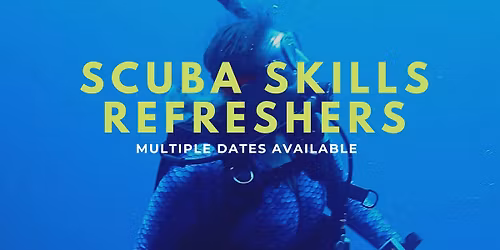 Group Scuba Skills Update Classes at Diventures Alpharetta