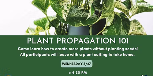 Plant Propagation 101