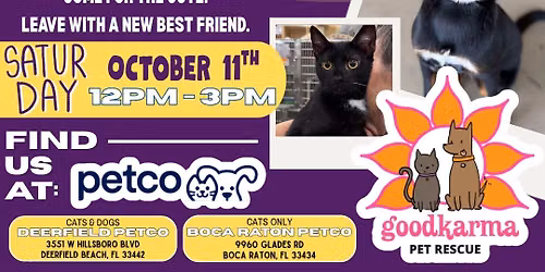 Adoption Event @ Petco Deerfield Beach & Boca Raton