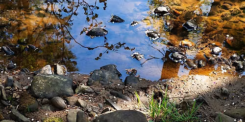 Mindful Photography Workshop