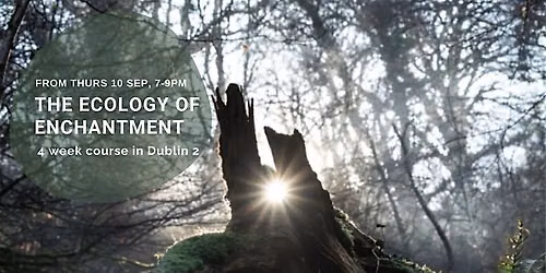 The Ecology of Enchantment