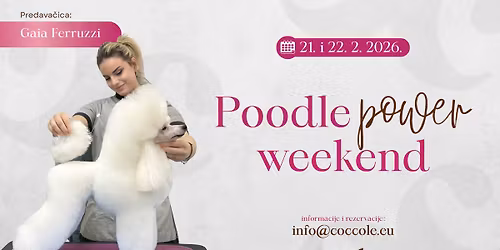 Poodle Power Weekend with Gaia Ferruzzi