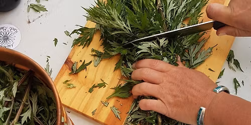 The Art of Botanical Distillation