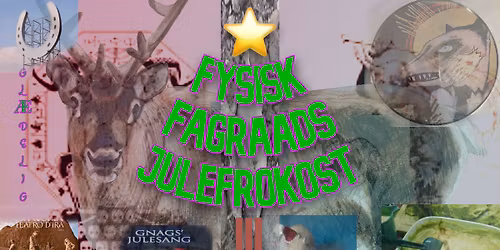 Fysisk Fagr\u00e5ds julefrokost 2025