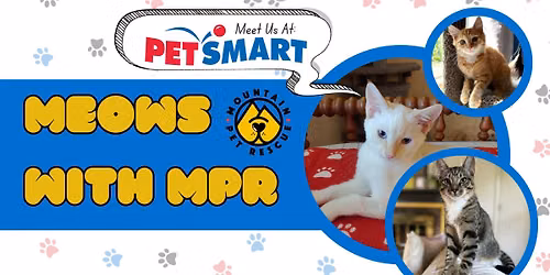 Meows with MPR AVL-Cat Adoption Event