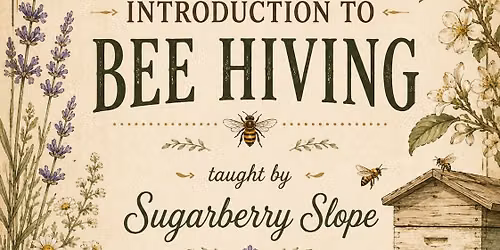 Introduction to Bee Hiving