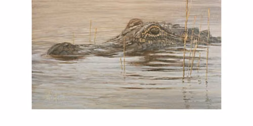 Fur, Feathers & Landscapes with Scott Hiestand