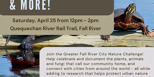 Turtles, Tadpoles, & More!