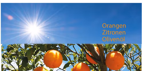 Sonnengereifte Orangen