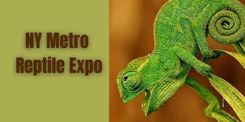 New York Metro Reptile Expo
