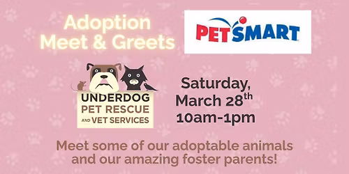 Adoptable Pets at Petsmart Madison East!