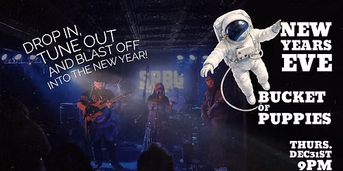 Bucket Of Puppies Live New Years Eve At The Silver Rail