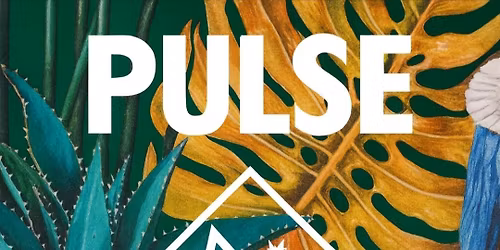 Pulse Gig - The Clumsy Cock (The Cock Inn, Claire)