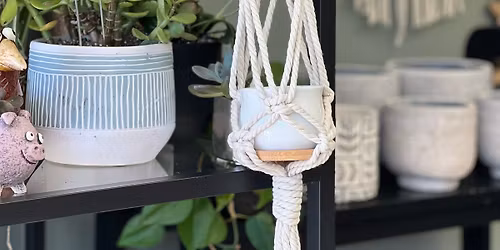 Mini macrame class w\/ small pot & small plant