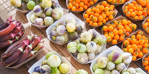 Reno Food Systems Farm Stand