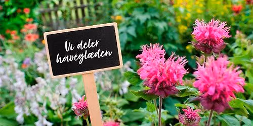 K\u00f8r-selv-tur til en bregnehave i Viborg