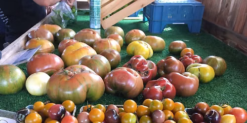 Community Supported Agriculture Program (CSA)