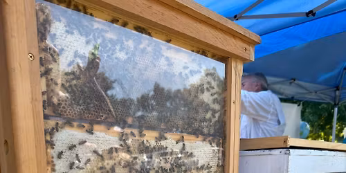 Beekeeping Meeting! CMCBA Monthly Meeting