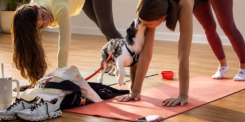 Indoor Pupilates at Chocolatt\u00e9s (Downtown)