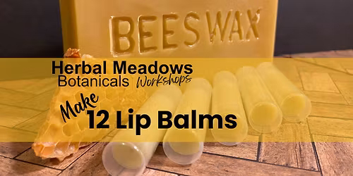Lip Balm Workshop: 12 Regular Sized Lip Balms (.15oz)